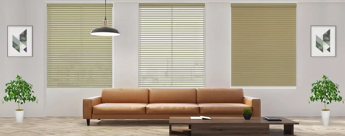 Grayson Blinds view 4