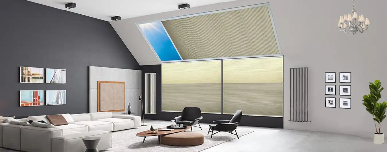 Skylight Blinds view 2